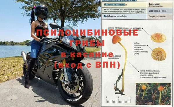 гашишное масло Дмитровск