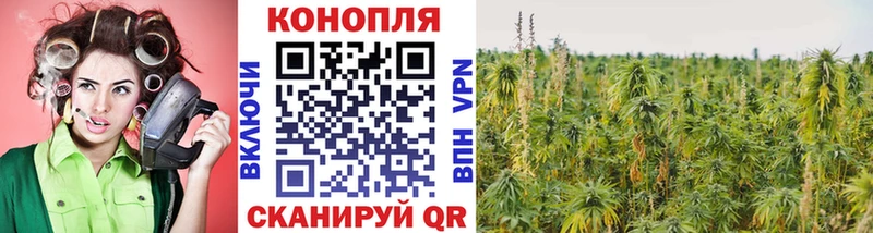 МАРИХУАНА сатива  купить наркотики сайты  гидра как войти  Сосенский 